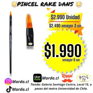 PINCEL RAKE DANS PARA MANICURE DEGRADE
