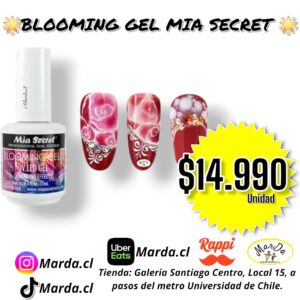 BLOOMING GEL MIA SECRET
