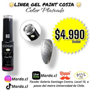 LINER GEL PAINT COSIA PLATEADO